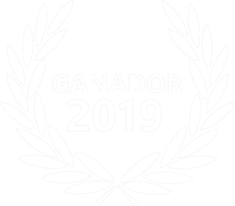 Ganador 2019